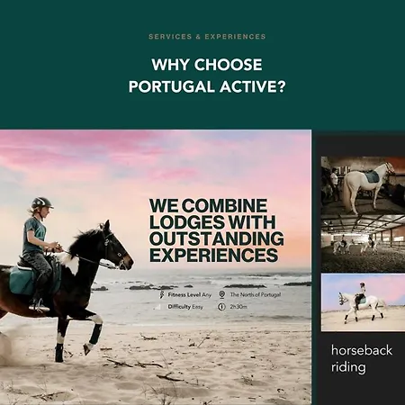Lejlighed Heritage Loft I In The Cradle Of Portugal By Portugal Active